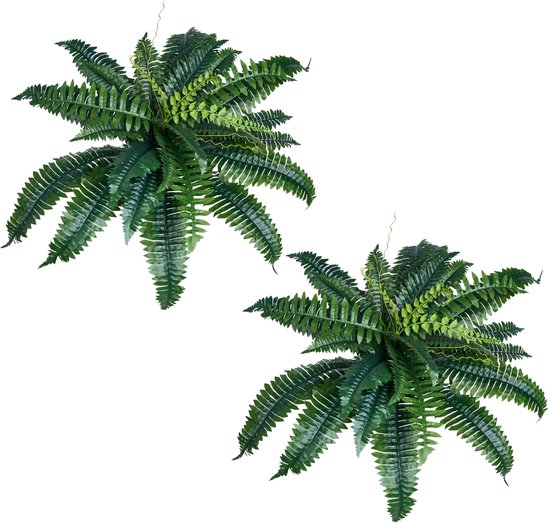 Set Van 2 Kunstvarens Voor Wanddecoratie