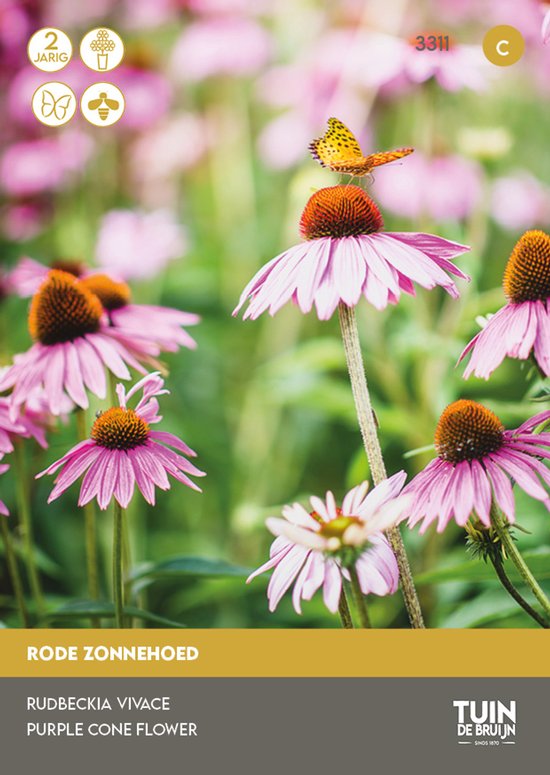 Rode Zonnehoed Zaden – Echinacea Purpurea – Meerjarige Bloemen – Bijen & Vlinders – ±100 Zaden – Tuin de Bruijn
