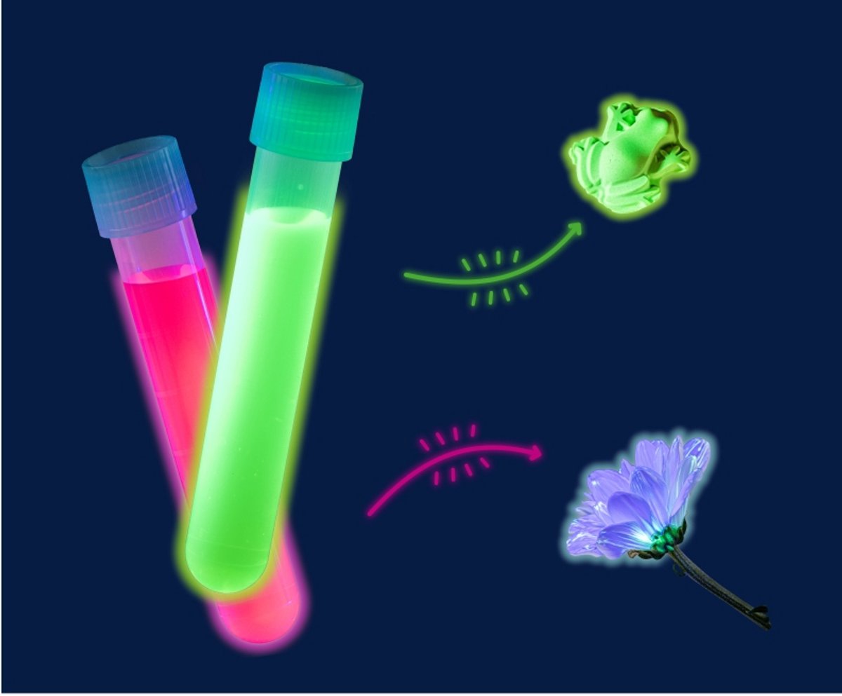 KOSMOS Neon Glow Lights - Experimente met UV-Licht - Maak Neonverf, Gipsfiguren en Lichtgevende Kunstwerken - Inclusief UV-Lamp - Creatieve STEM Experimenteerset - Vanaf 8 Jaar — afbeelding 4