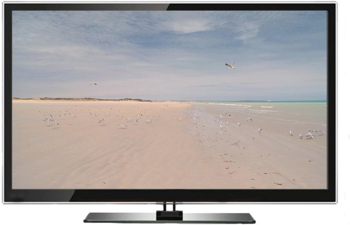 Fiets Door De Natuur - Een Dag Aan Het Strand - Voor Indoor - afbeelding 3