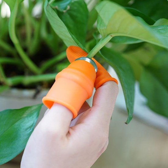 2-delige vingerplukkerset - Duimbeschermer - Tuinsplijter - Nagelbeschermer - Gereedschap voor het plukken van tuinfruit, planten, pepers, groenten, bonen, aardbeien - Draagbaar plukken - Oranje van Merkloos	 — afbeelding 4