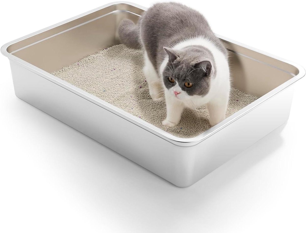 Adori Kattentoilet - Kattenbak - 61.4x41.7x25.3 cm Groen - Bak - Pets Place