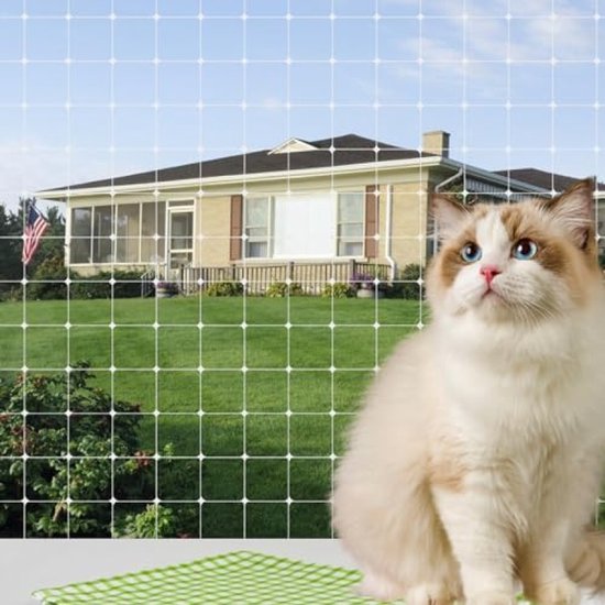 Kattennet voor Balcon, 4x3 M Kattennet Raam met Spijkers en