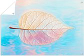 Kunstzinnig blad op water - Blad tuinposter - Tuinversiering bladnerf - Surrealisme - Tuinschilderij voor buiten - Tuinschilderij - Tuinposter 45x30 cm