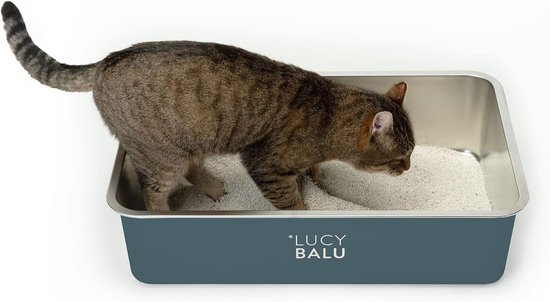 KMNSUN Grote kattenbak, XXL, open roestvrijstalen kattentoilet, toilet voor grote kat en groot haasje, 1.4301 roestvrij staal, plakt niet aan resten, trekt geen geuren aan, groen KMNSUN Grote kattenbak, XXL, open roestvrijstalen kattentoilet, toilet voor grote kat en groot haasje, 1.4301 roestvrij staal, plakt niet aan resten, trekt geen geuren aan, groen