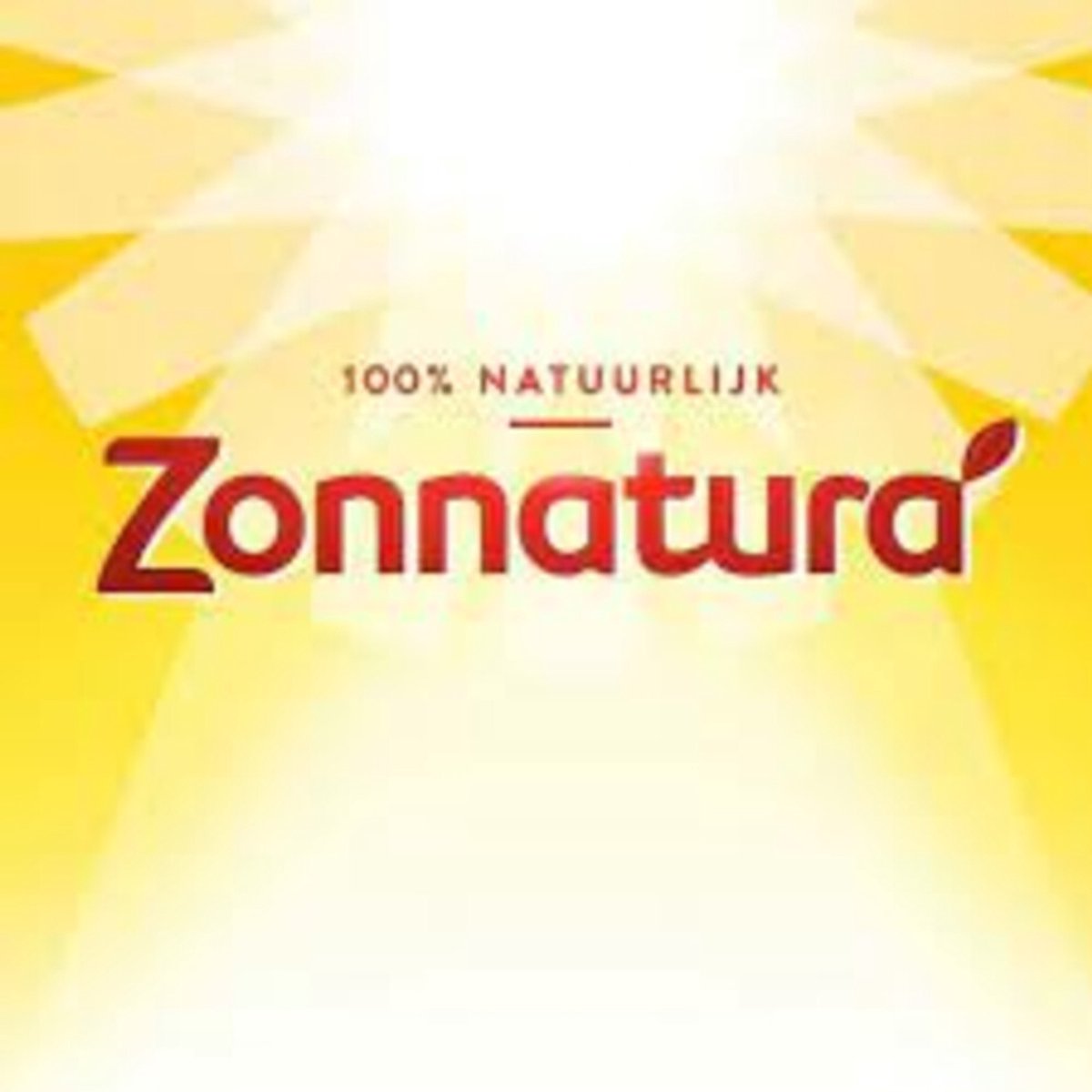 Zonnatura - Vegetarische Pate Naturel Biologisch - 3 x 125 gr - Voordeelverpakking