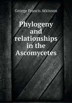 Phylogeny and Relationships in the Ascomycetes