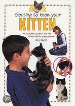 Getting To Know Your Kitten
