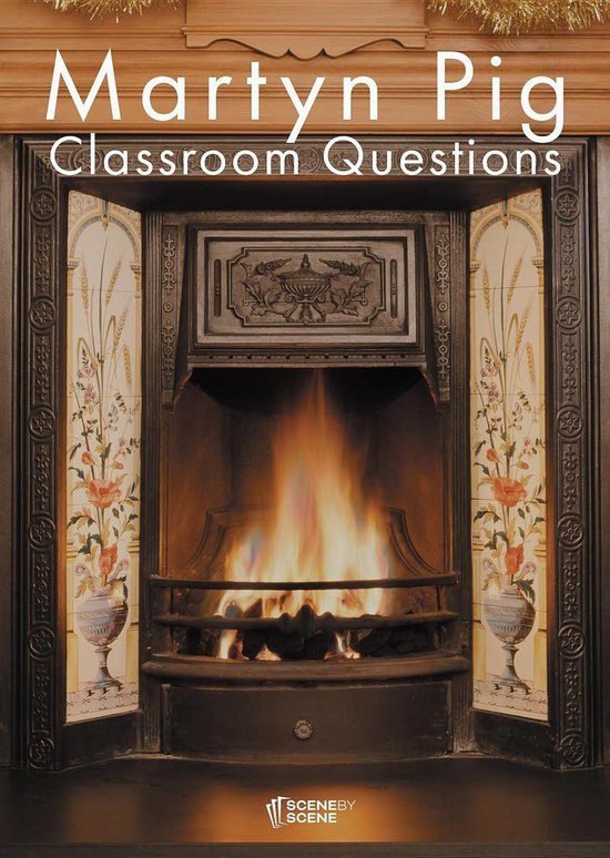 Martyn Pig Classroom Questions - cover