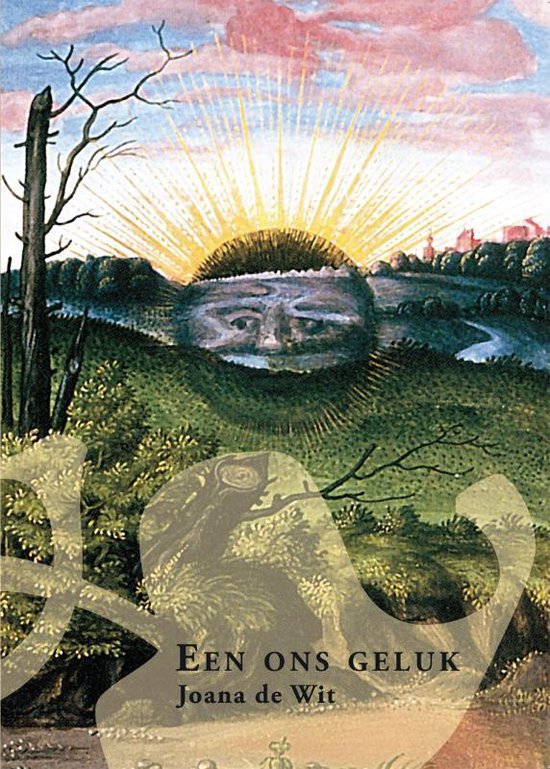 Cover van het boek 'Een ons geluk' van Joana de Wit