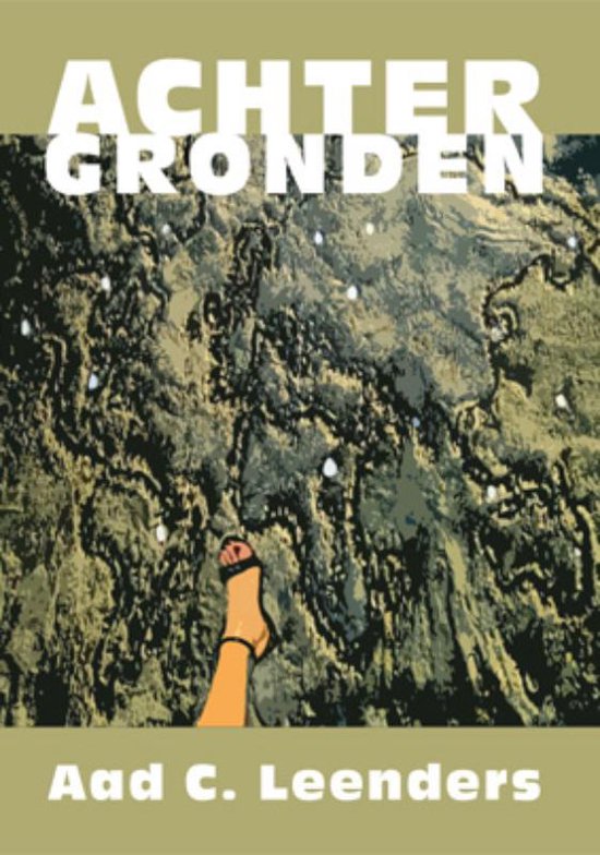 Cover van het boek 'Achtergronden' van A.C. Leenders