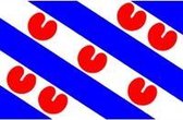 Vlag Friesland