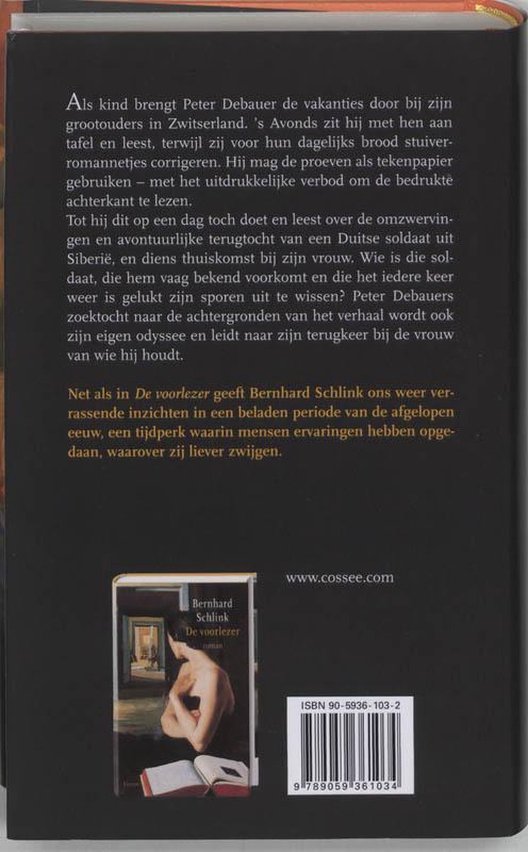 Achterkant van het boek 'De thuiskomst' met tekst en een kleine afbeelding van de voorkant.