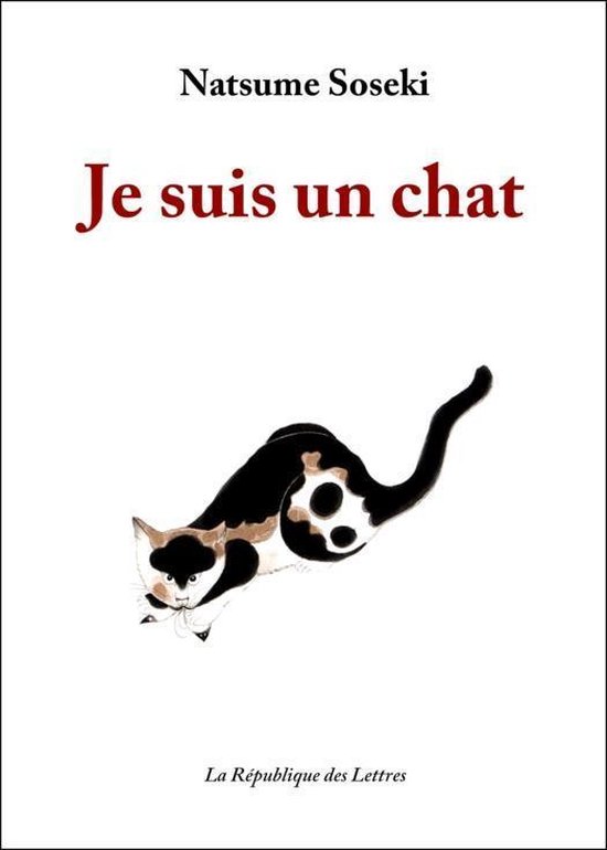 Je suis un chat (ebook), Natsume Soseki 9782824903125 Boeken