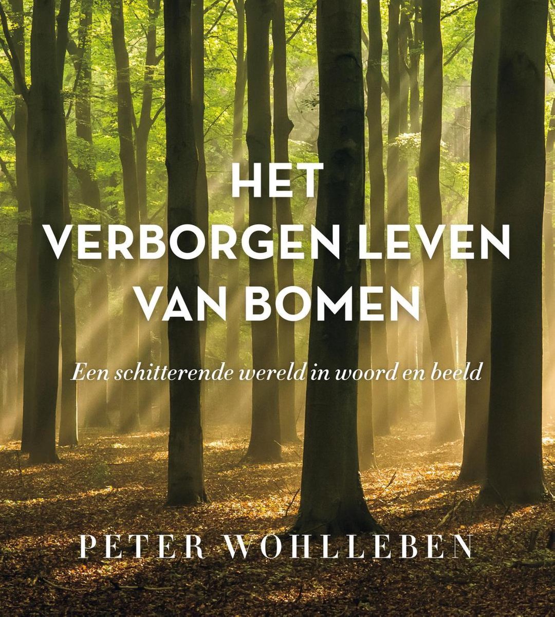 Het verborgen leven van bomen - Peter Wohlleben