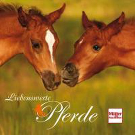 Liebenswerte Pferde - cover