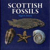 Scottish Fossils