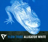 Alligator White