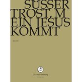 Chor & Orchester Der J.S. Bach-Stiftung, Rudolf Lutz - Bach: Susser Trost, Mein Jesus Komm (DVD)