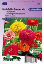 Sluis Garden - Zinnia Dahlia-Bloemige Mix