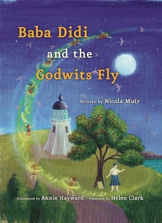 Baba Didi and the Godwits Fly - cover