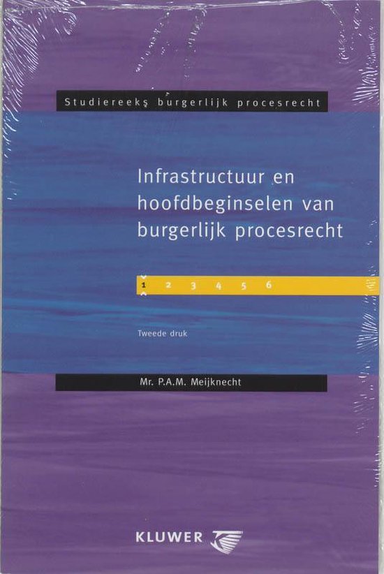 Infrastructuur en hoofdbeginselen van burgerlijk procesrecht - cover