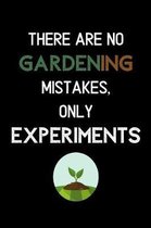 There Are No Gardening Mistakes