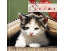 Samtpfoten