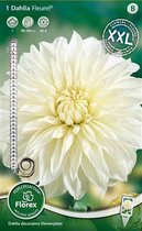 Dahlia Decoratief Bloembol - Dinnerplate Fleurel - Wit