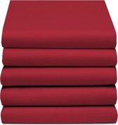 D'Orveige Drap-housse Double Jersey - Litsjumeaux - 160 / 180x200 cm - Rouge