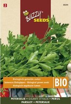 Buzzy  Seeds Bio Peterselie Gigante d'Italia (Skal 14218 NL-