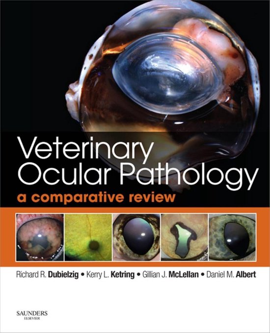Veterinary Ocular Pathology - cover