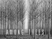 Among Trees