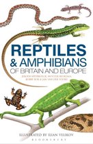 Reptiles & Amphibians Britian & Europe