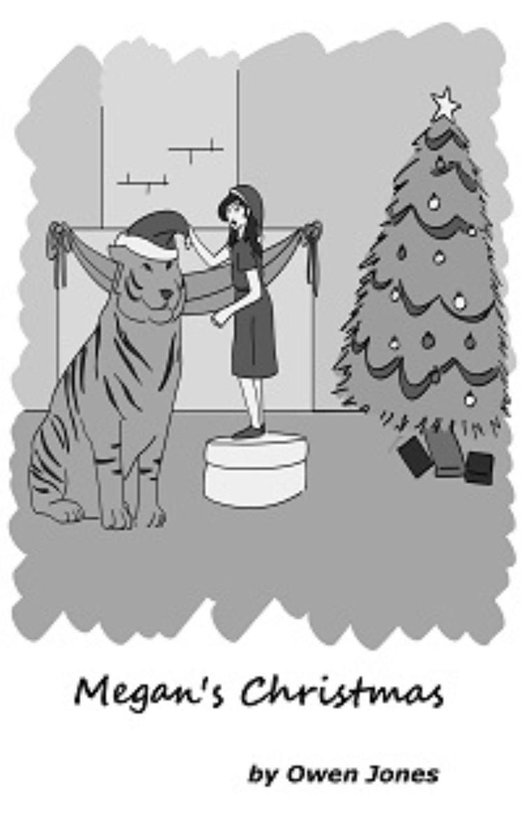 The Psychic Megan Series - Megan's Christmas - cover