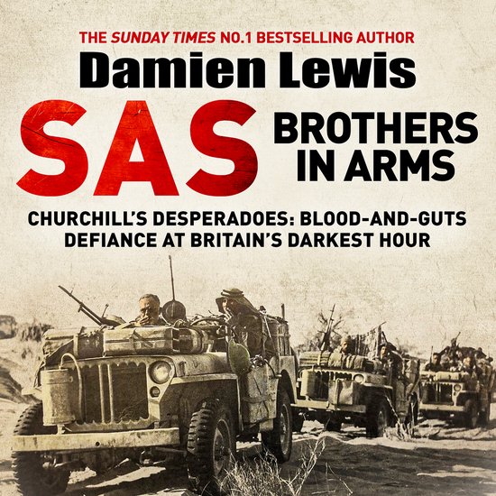 SAS Brothers in Arms - cover
