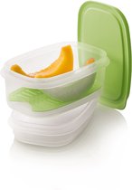10 Stuks Kleine Voedselcontainers Met Deksel - Mini Diepvries & Snack Doosjes