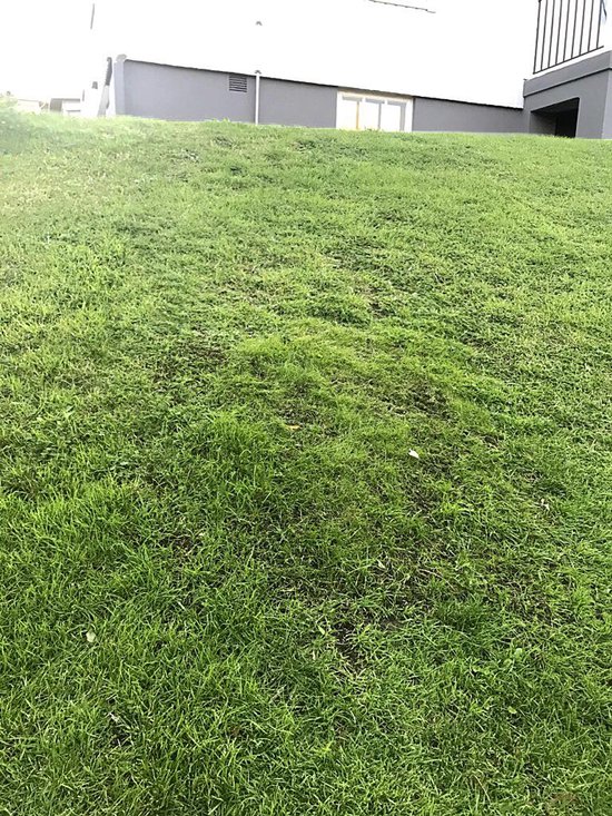 Husqvarna Automower Hybrid Grass Kit - 1x1 m grote mat met 16 groene haken, verbetert de tractie op hellingen en in krappe ruimtes van Merkloos	 — afbeelding 3