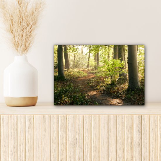 Chemin dans la forêt Toile 30x20 cm - petit - Tirage photo sur toile (Décoration murale salon / chambre) / Décoration murale Peintures sur toile