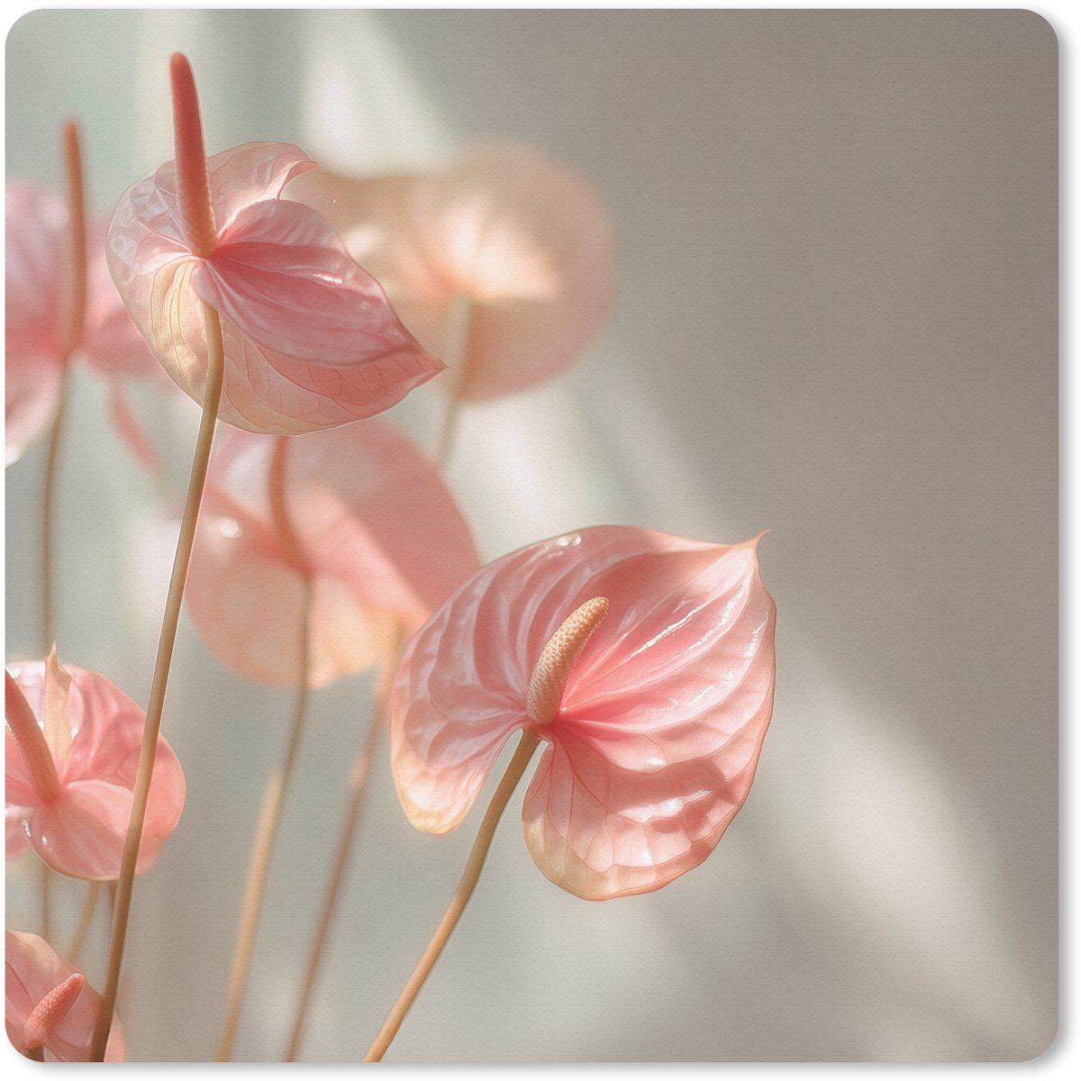Muismat 20x20 cm - Mousepad Bloemen - Stelen - Roze - Schaduw - Muismatten