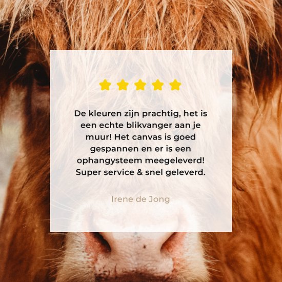 Tableau sur toile - Highlander - Animaux - Vache - Peintures salon - Décoration chambre - Toile toile - 40x30 cm