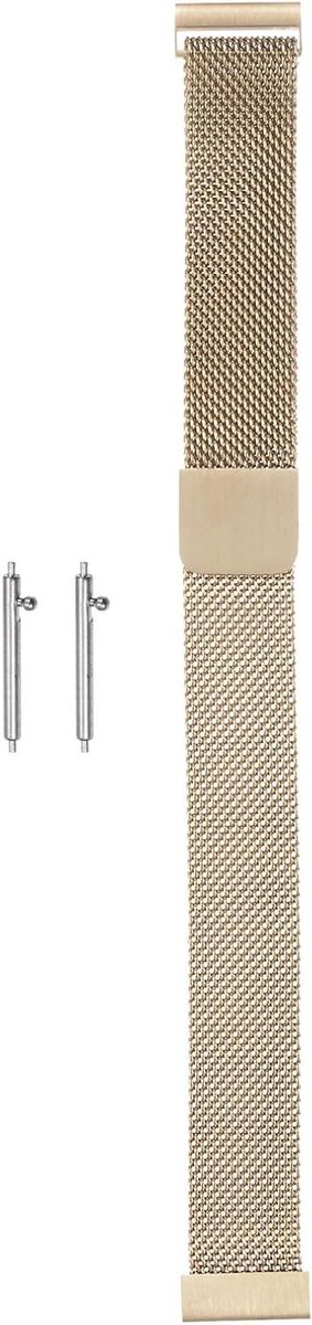 Allecto plus - Roestvrij stalen mesh horlogebandje 14 mm - Snelwissel armband - Magnetische sluiting - Champagnegoud - Heren en dames - Stijlvol en duurzaam