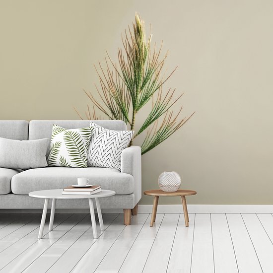 Behang - Fotobehang Dennentak - Naaldvormige bladeren - Lichtgroen - Breedte 350 cm x hoogte 260 cm