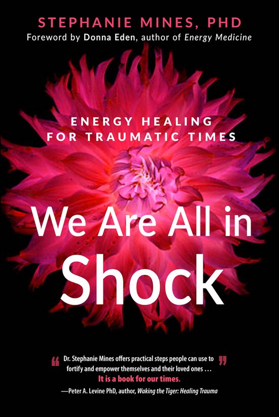 We Are All in Shock - cover