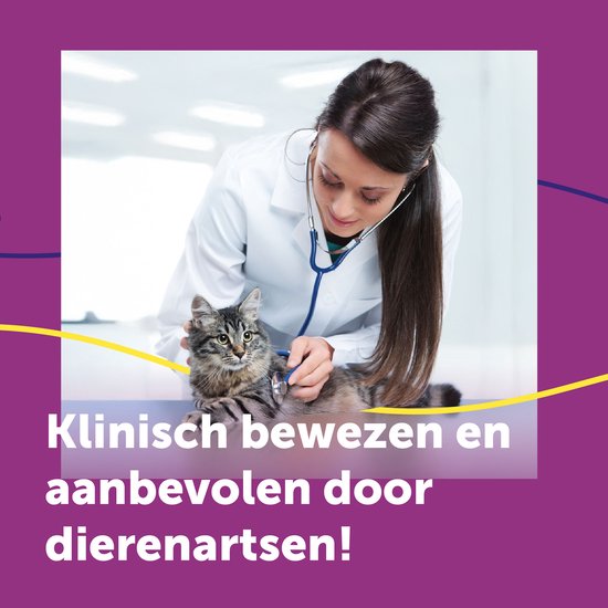 Dierenarts onderzoekt een kat met een stethoscoop. "Klinisch bewezen en aanbevolen door dierenartsen!".