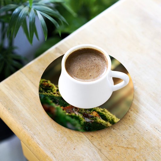 Sous-verres de verre ronds - Motifs écureuil, noix et herbe - 10 x 10 cm - Lot de 6