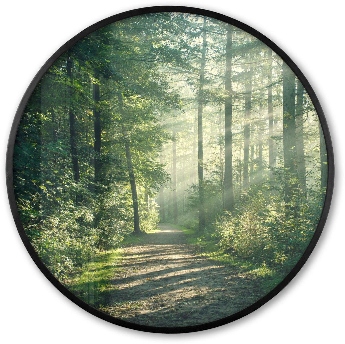 FrameYourWall Poster in lijst Rond - Fotolijst 60x60 cm - Posters - Bos - Pad - Zon - Bomen - Groen - Natuur - Ronde posterlijst zwart - Decoratie - Wanddecoratie woonkamer - Muurdecoratie slaapkamer