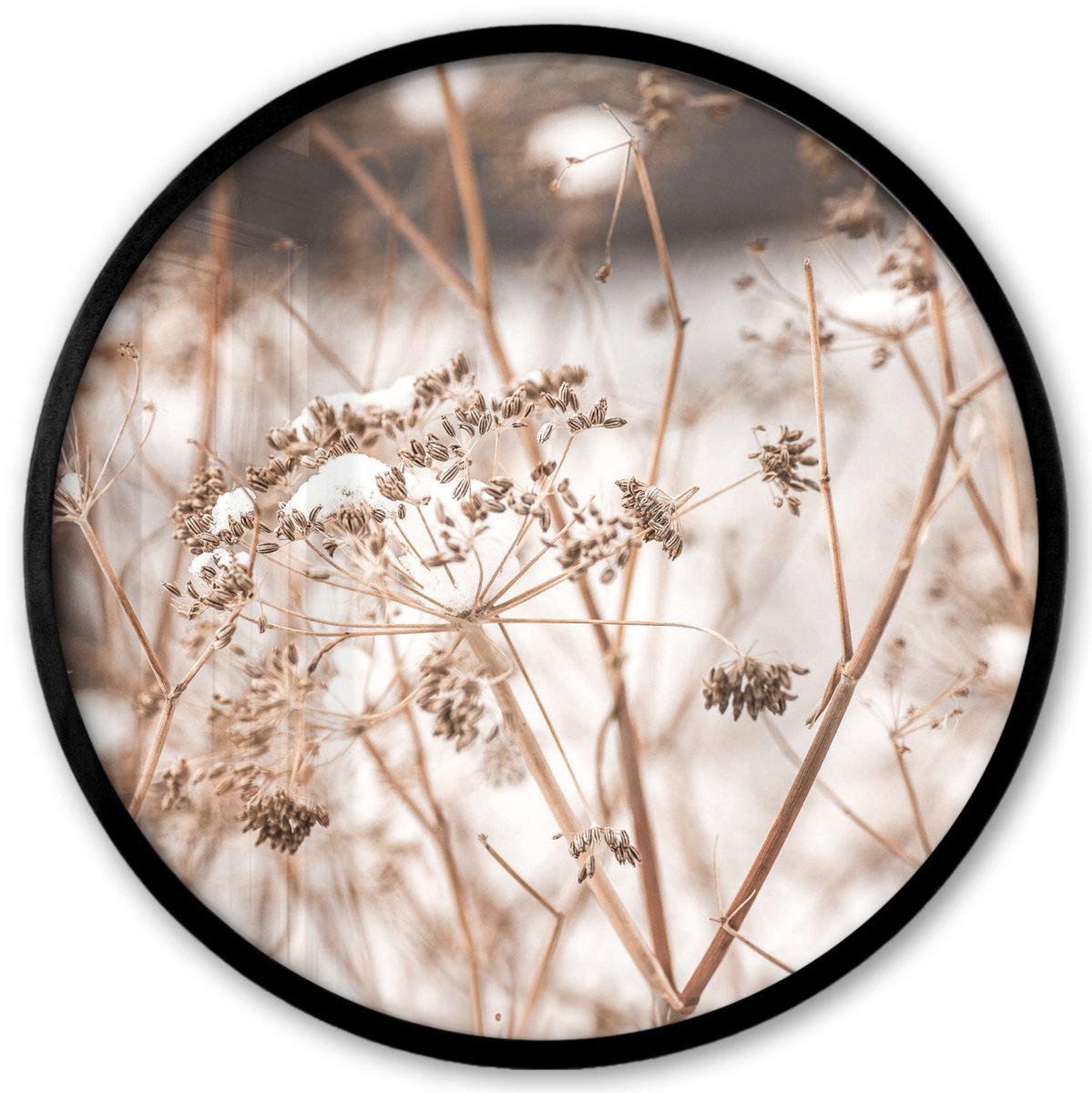 FrameYourWall Poster in lijst Rond - Fotolijst 40x40 cm - Posters - Droogbloemen - Wit - Planten - Ronde posterlijst zwart - Decoratie - Wanddecoratie woonkamer - Muurdecoratie slaapkamer Droogbloemen - Natuur