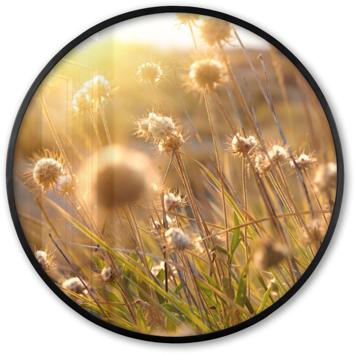 FrameYourWall Poster in lijst Rond - Fotolijst 80x80 cm - Posters - Planten - Natuur - Bloemen - Zon - Horizon - Ronde posterlijst zwart - Decoratie - Wanddecoratie woonkamer - Muurdecoratie slaapkamer