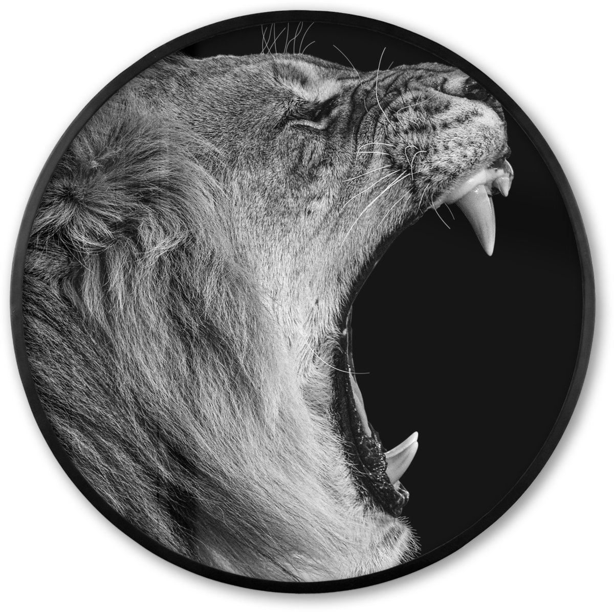FrameYourWall Poster in lijst Rond - Fotolijst 80x80 cm - Posters - Dieren - Leeuw - Zwart - Wit - Portret - Ronde posterlijst zwart - Decoratie - Wanddecoratie woonkamer - Muurdecoratie slaapkamer Multicolor